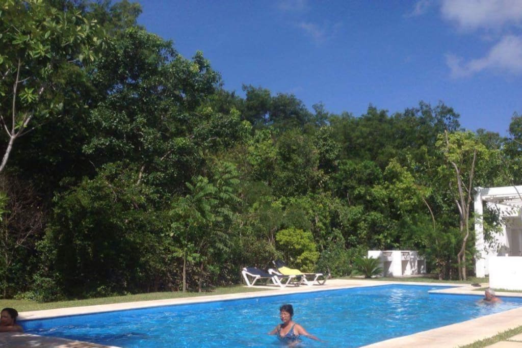2 piscinas entre la vegetación