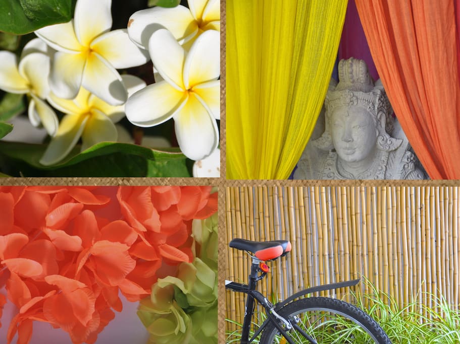 The Delights of the Pacific Islands