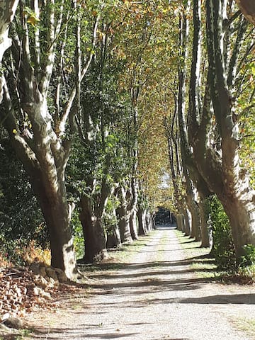 Airbnb Salon De Provence Vacation Rentals Places To