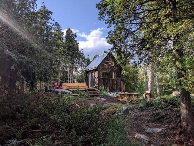 Island Adventure  Black Bird Cabin on Sharbot Lake