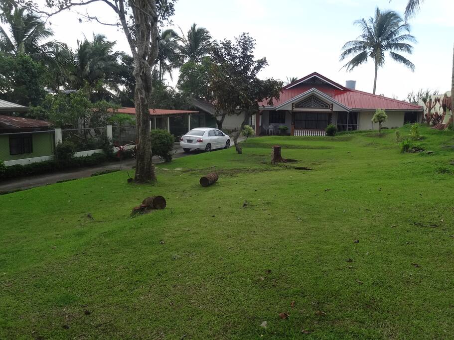 House Perspective with landscape garden