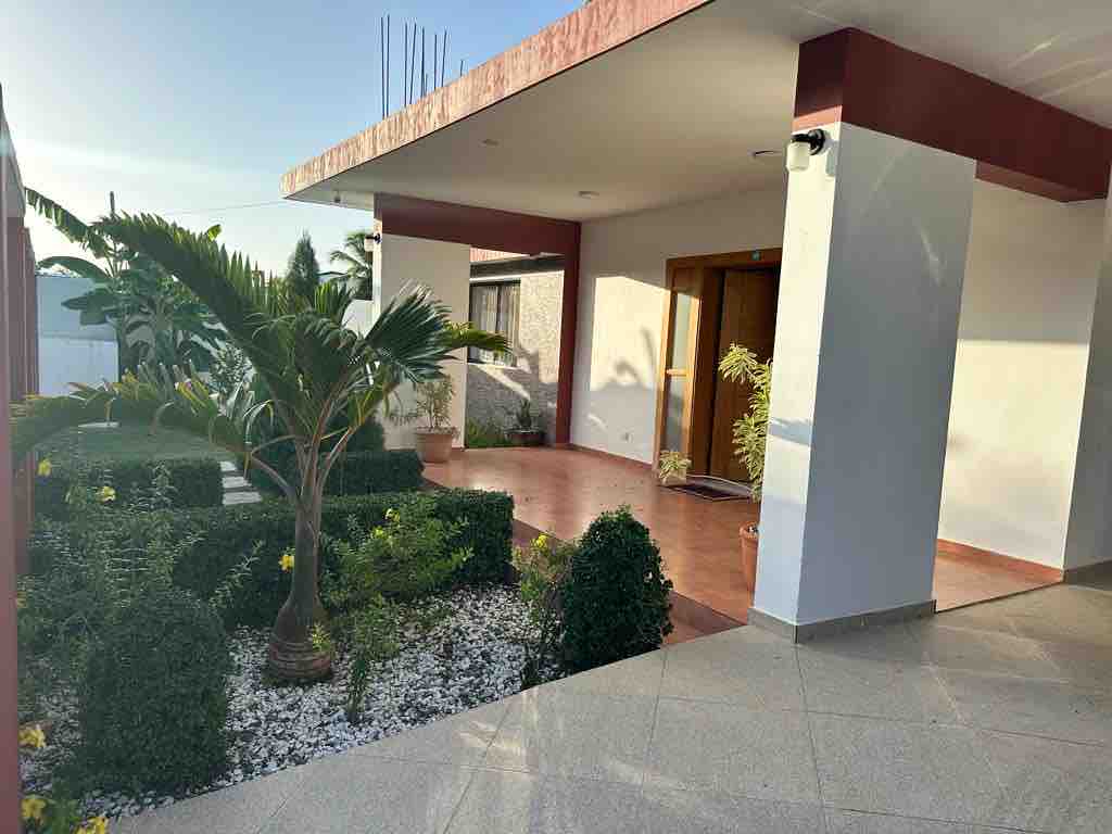 An entrance area is showcased, featuring a carefully manicured garden with small hedges, decorative stones, and palm plants. A pathway leads to the main entrance, framed by sunlit walls. The modern design includes large windows, allowing natural light to fill the space.