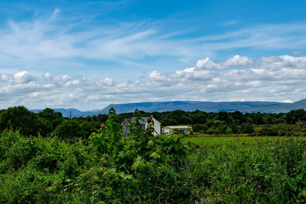 View from the front Garden