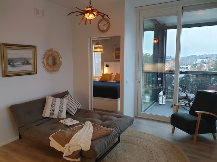 Top 16 Airbnb Vacation Rentals In Kuopio, Finland Updated 2024 Trip101