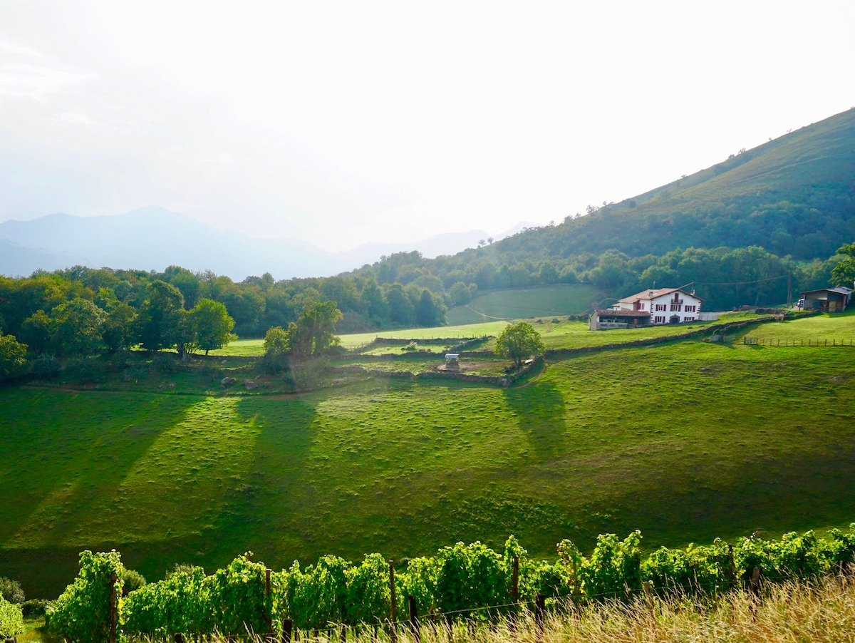 A sweeping landscape captures rolling green hills under a soft sky. A charming house is situated amid the lush fields, with a backdrop of distant mountains. Shadows stretch across the grass, creating a serene rural setting that invites exploration and connection with nature.