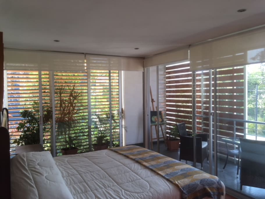 Vista 1 Habitación