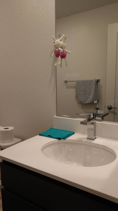 Bathroom sink.