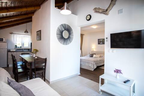 Apartments Curić - Studio apartment 