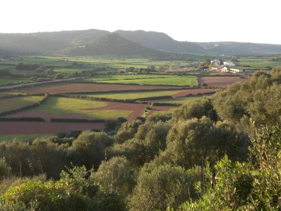 vistas panoramicas desde la casa