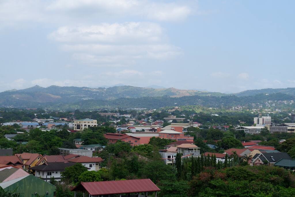 View from the window