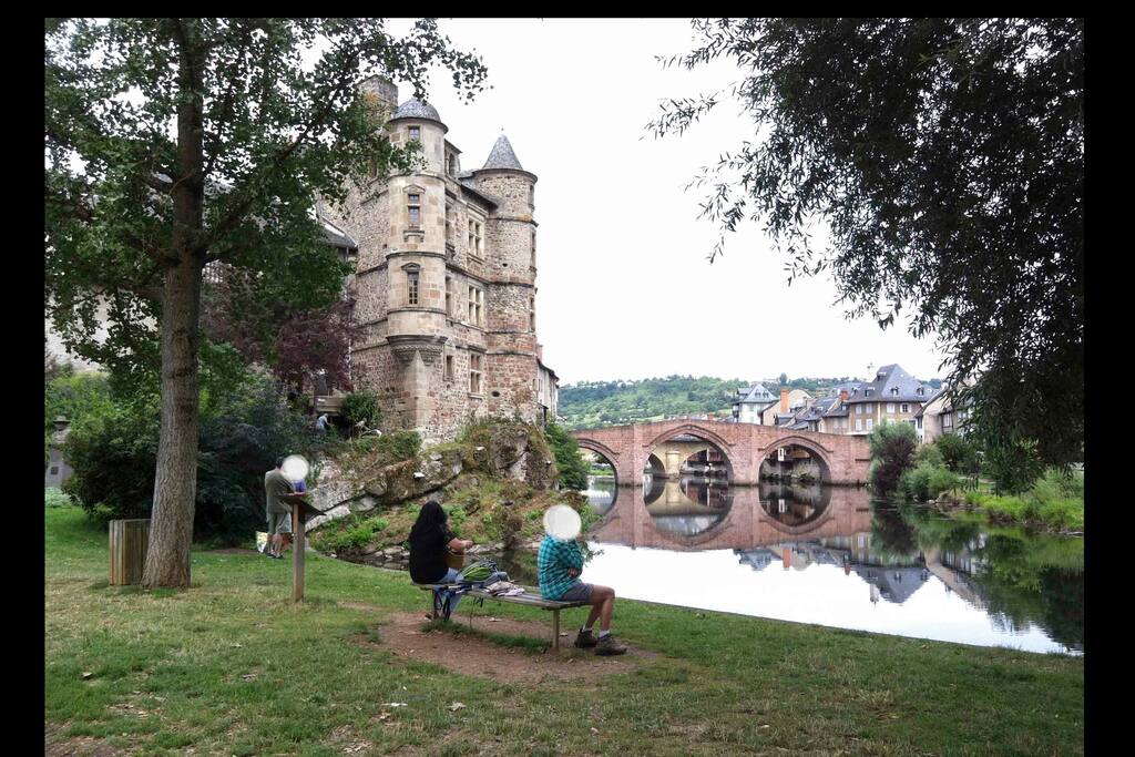 Vieux Palais et le Pont Vieux