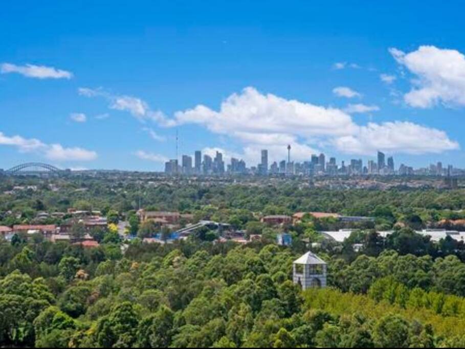 Sydney CBD and harbour bridge view