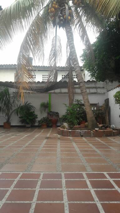Patio desde la sala