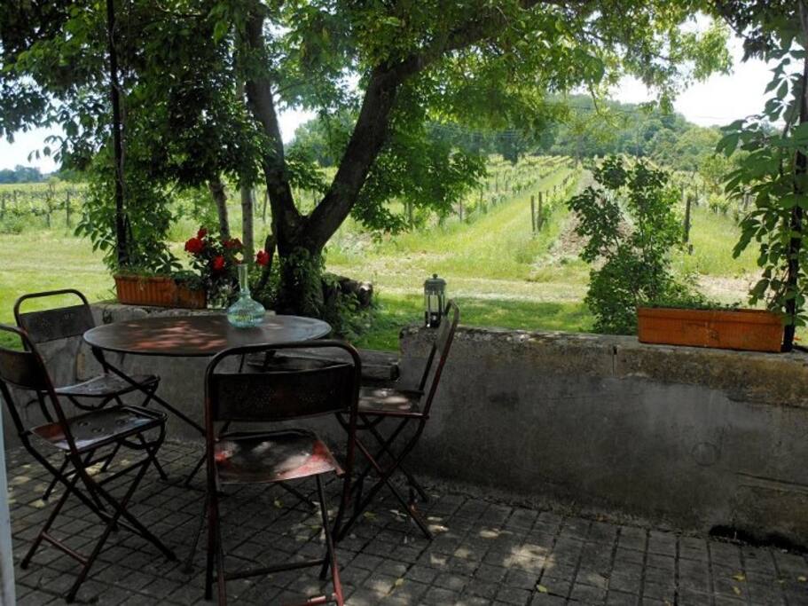 Terrasse sud
