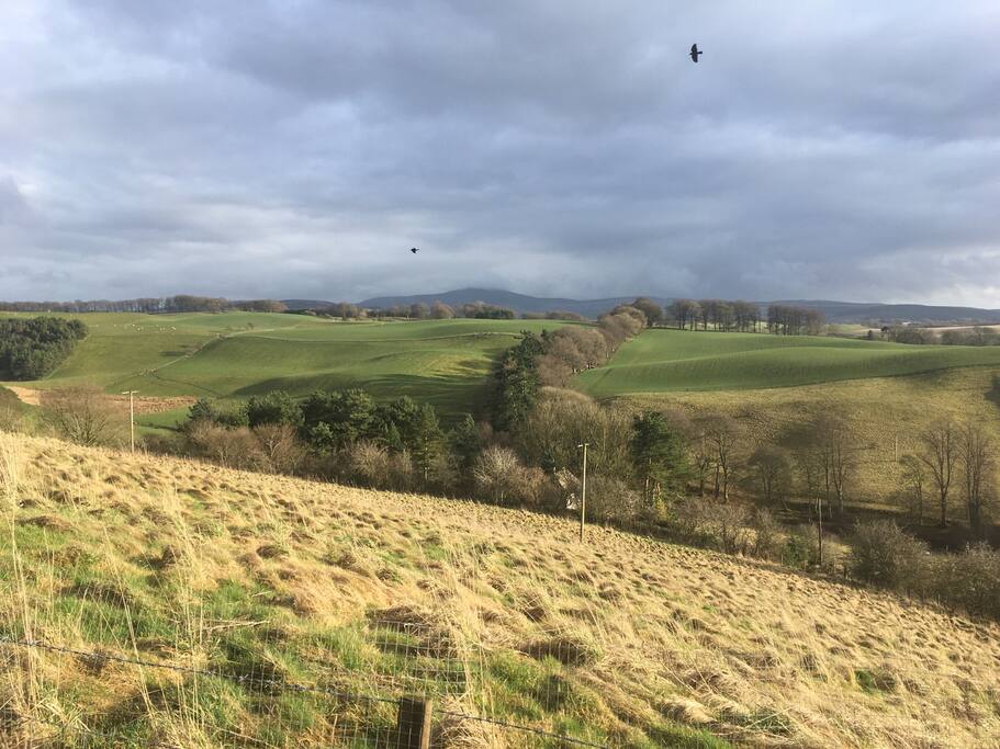Springtime view
