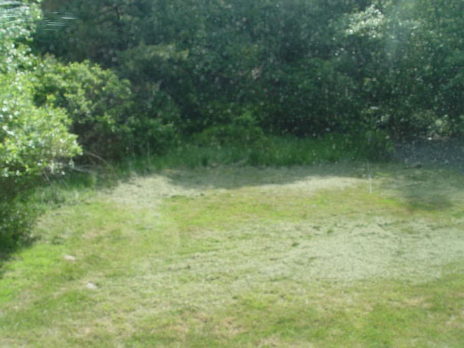 We have a spacious backyard.