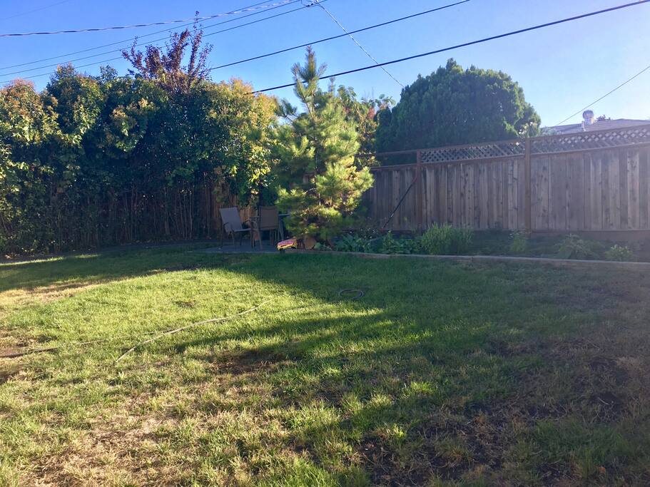 Backyard