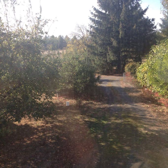 driveway