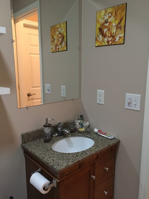 Guest Bathroom