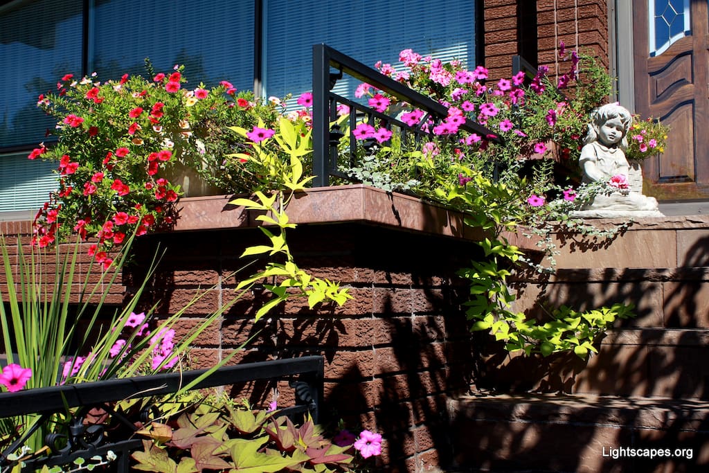 In the summer & fall, the home looks incredible and so inviting! (Sept 2016)