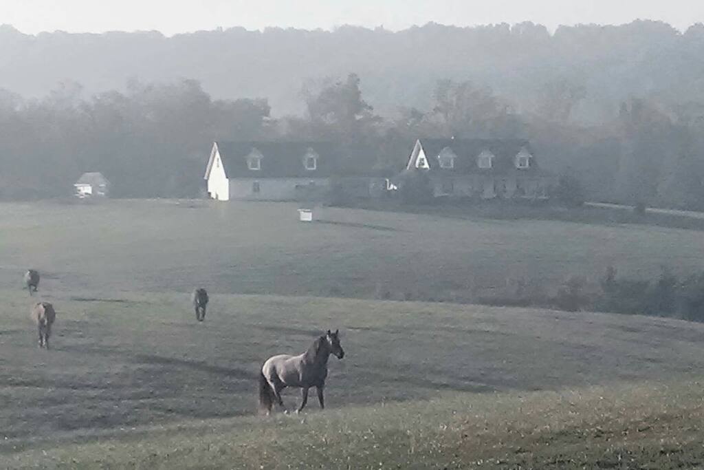 Early morning walk.