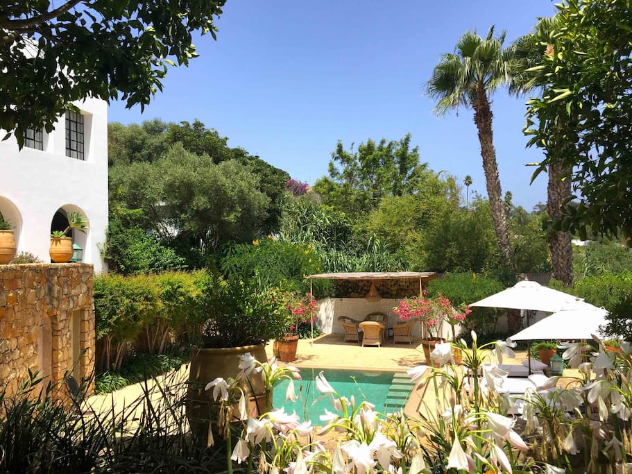 VILLA AL AÏN : piscine et jardins