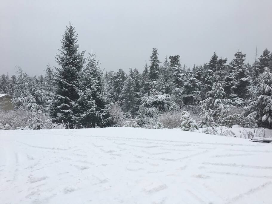 Winter Driveway