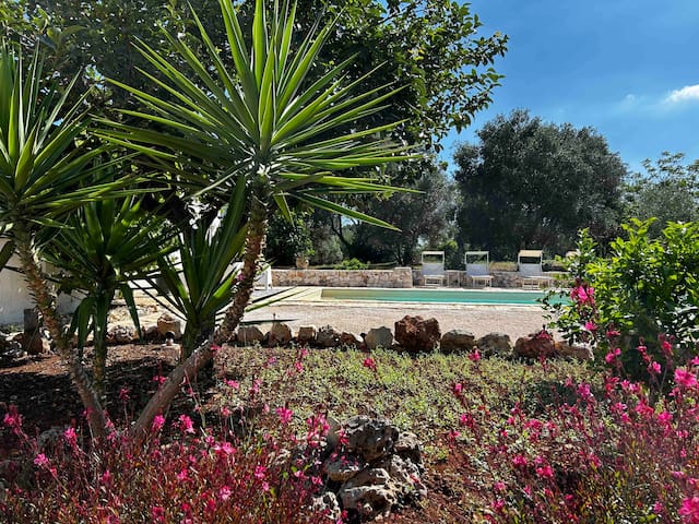Trullo authentique avec piscine jardin Pouilles