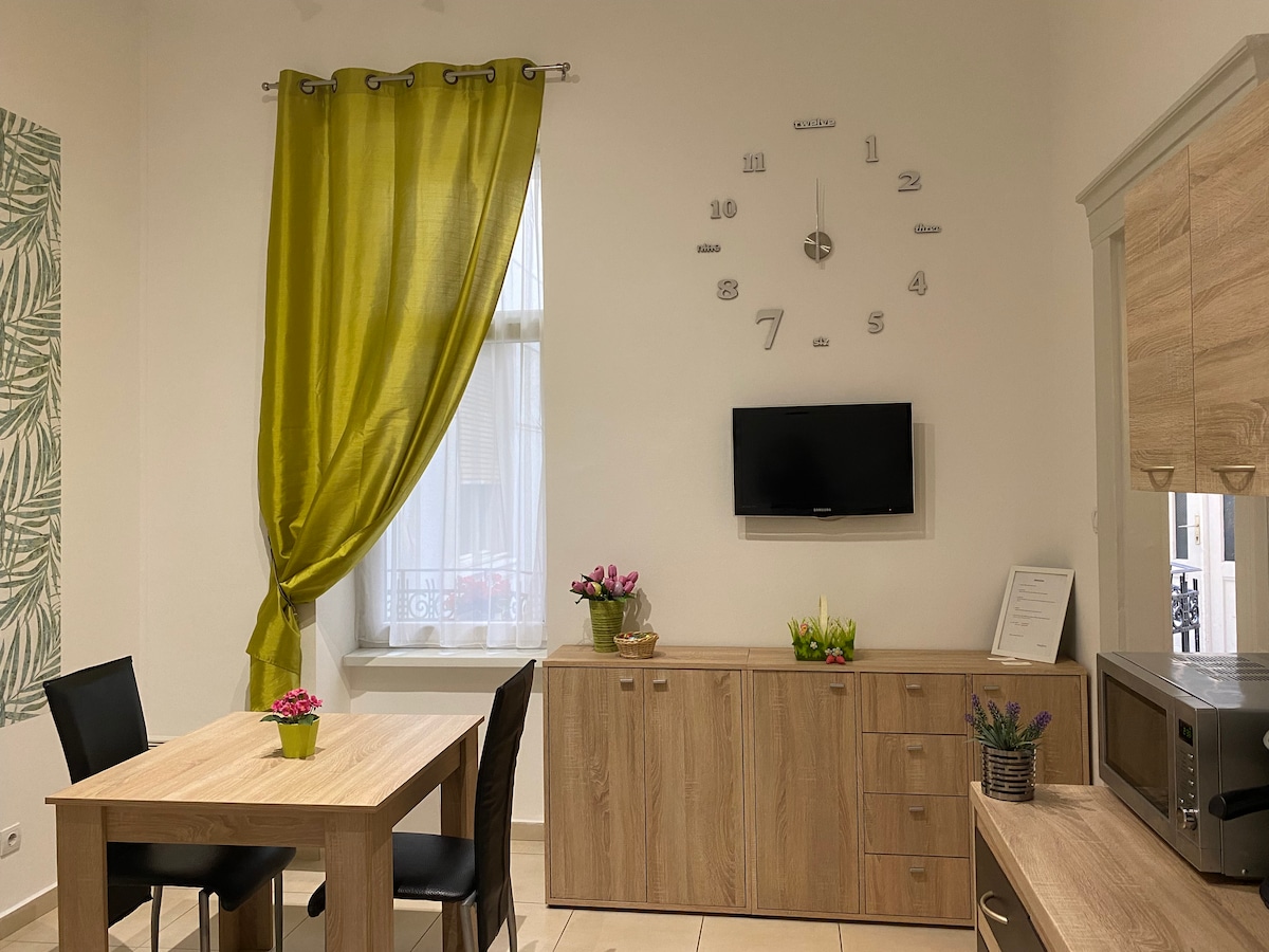 A bright living space features a wooden dining table surrounded by black chairs. A green curtain frames the window, while a wall clock is prominently displayed above a cabinet. A small television is mounted on the wall, creating a welcoming atmosphere.