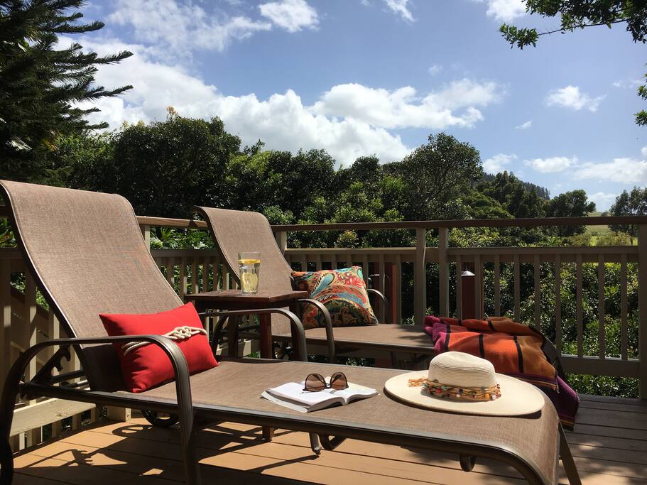 Relaxing on deck by Jungle Gorge surrounded by quiet nature