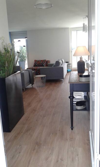 grand séjour 45m²