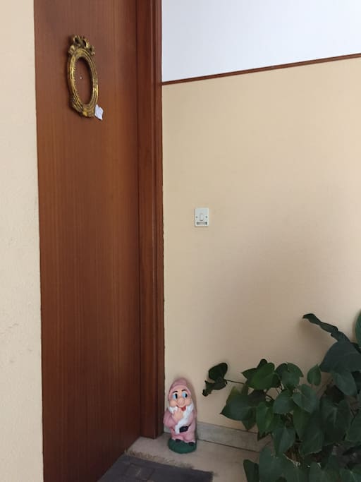 ingresso