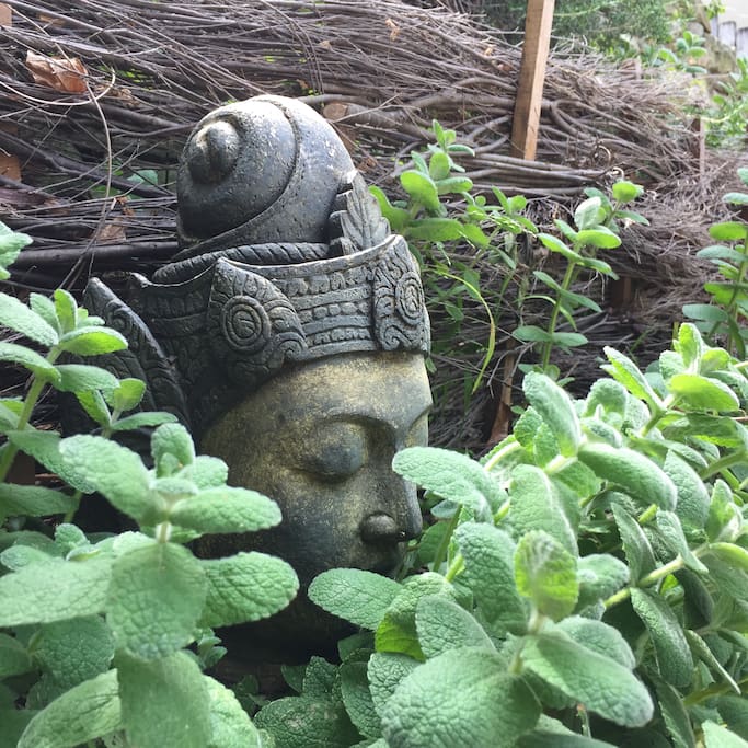 Zen in the Garden Oasis!