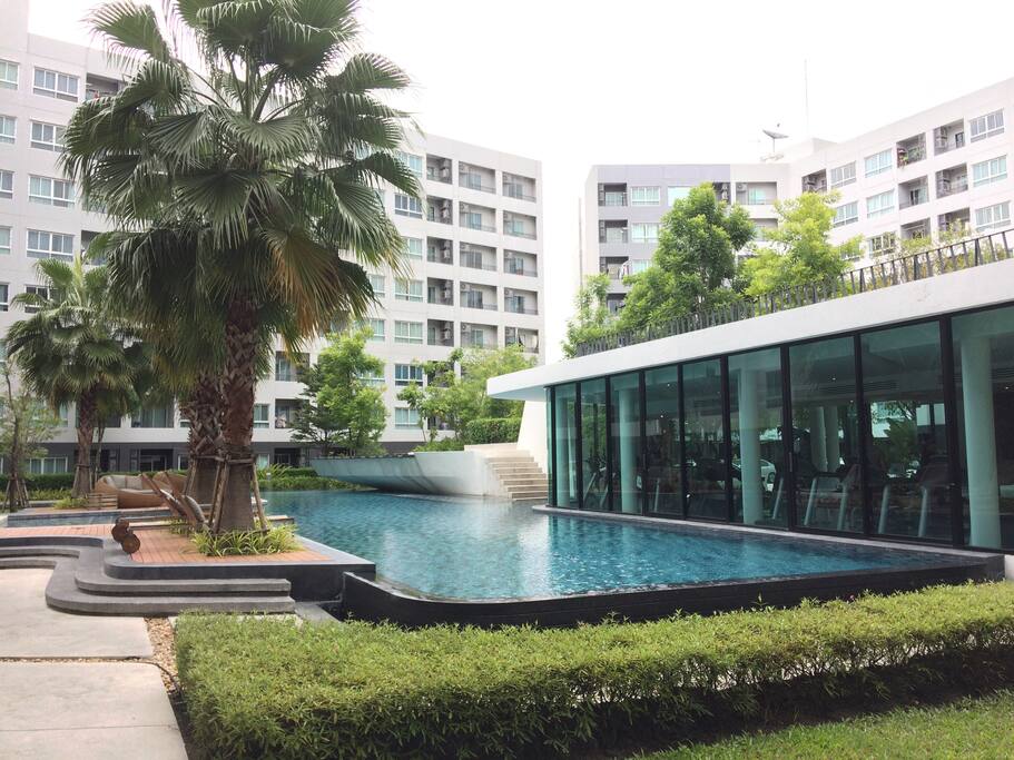 Garden and swimming pool view outside gym.