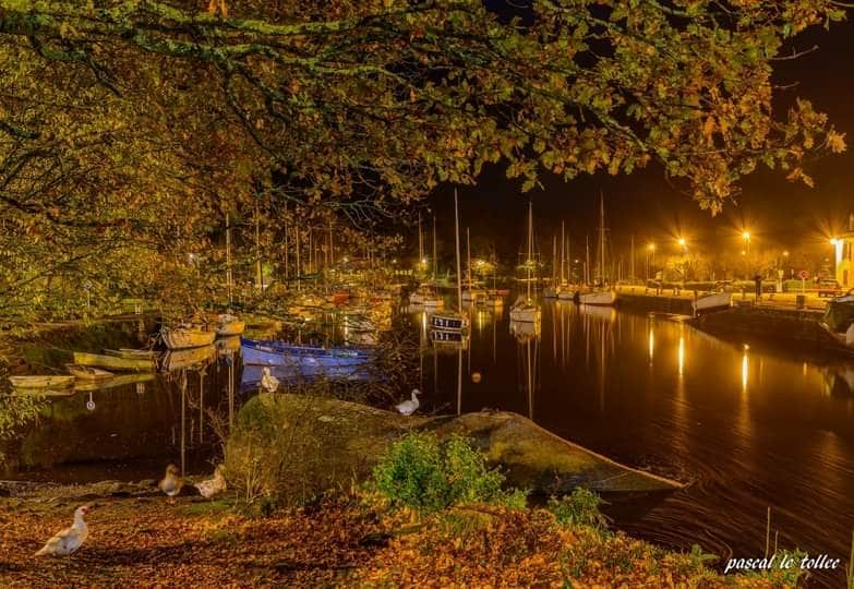 A tranquil evening scene at a harbor is showcased, featuring several boats docked in calm water. Soft lights reflect off the water, while trees with autumn leaves frame the image. Geese can be seen near the shore, contributing to the peaceful ambiance.