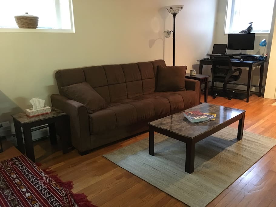 Living space in 1-br apartment (Beacon Hill)
