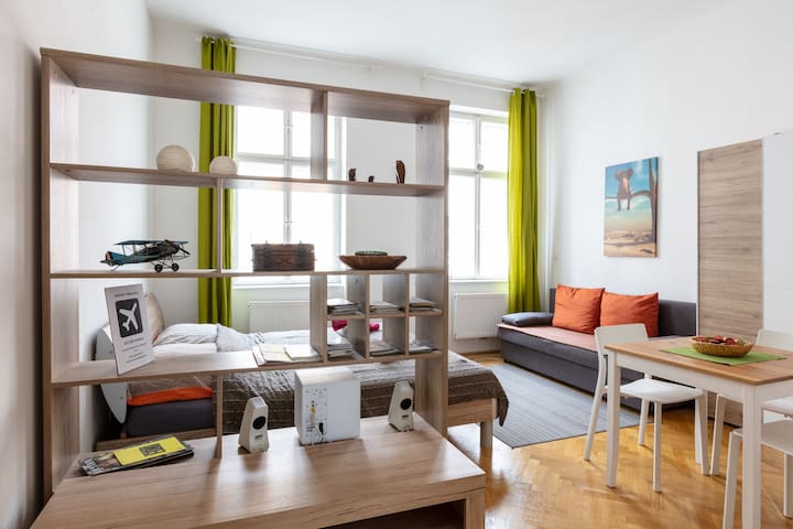 A nice apartment near the center
