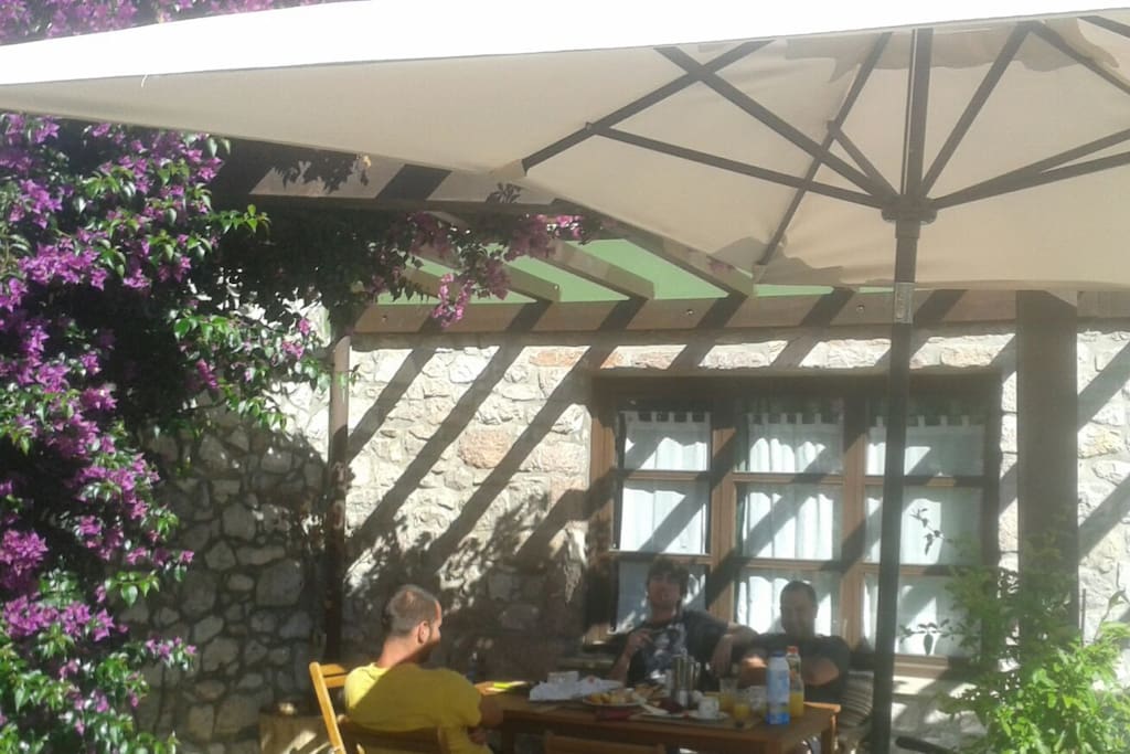 Patio Privado (orientación Sur)