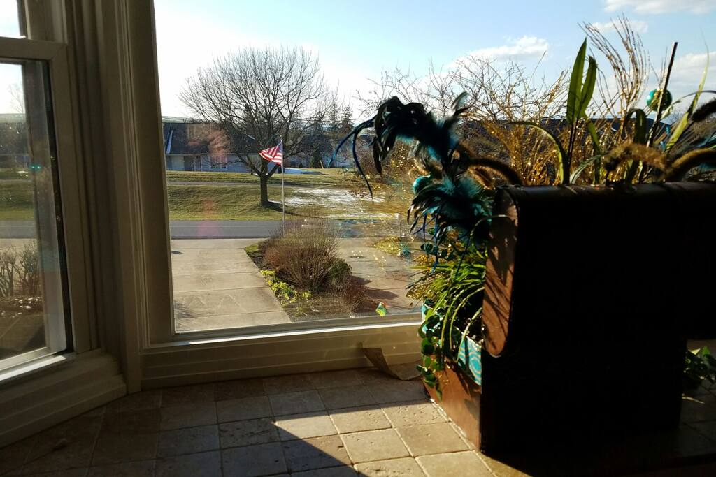 Pleasant view from the dining room bay window.