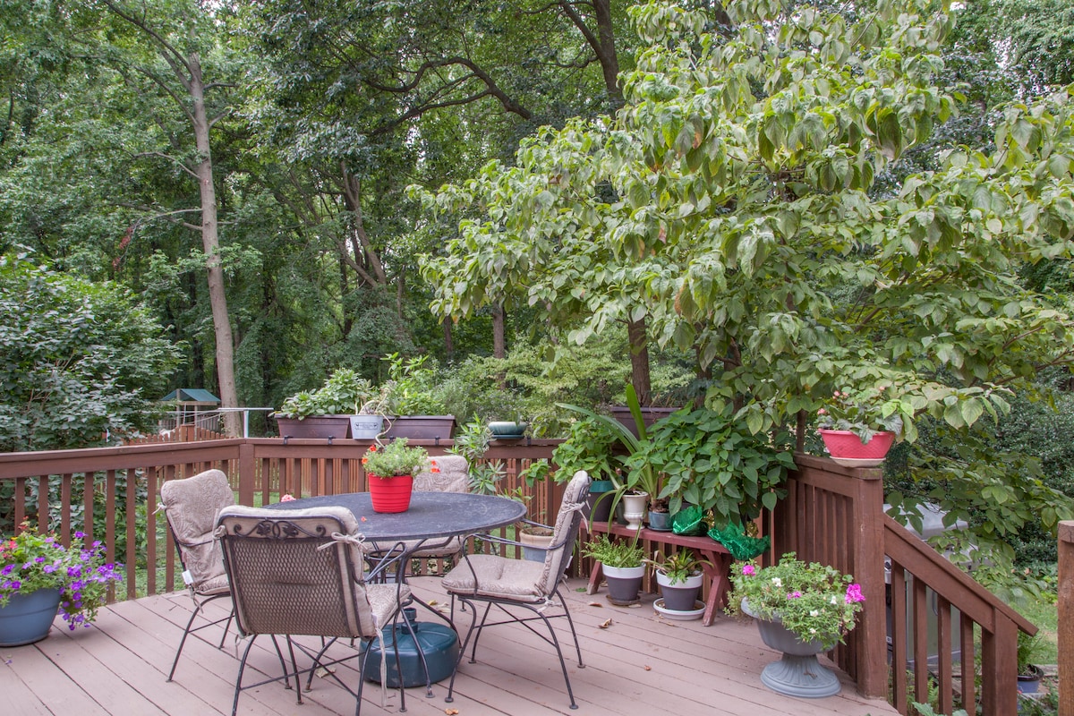 Leafy Setting