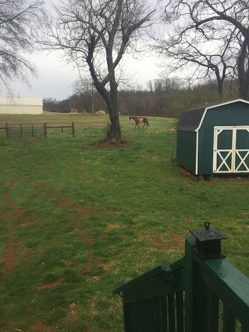 Outside back door