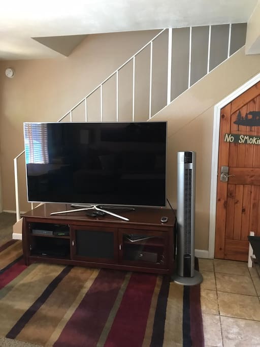 65" TV in living room