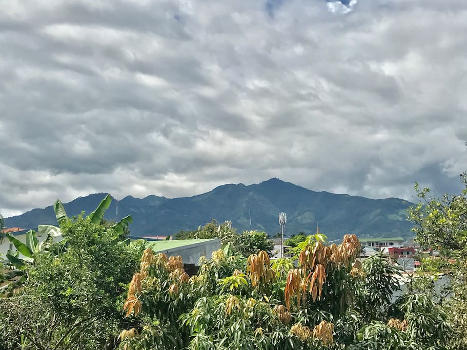 view