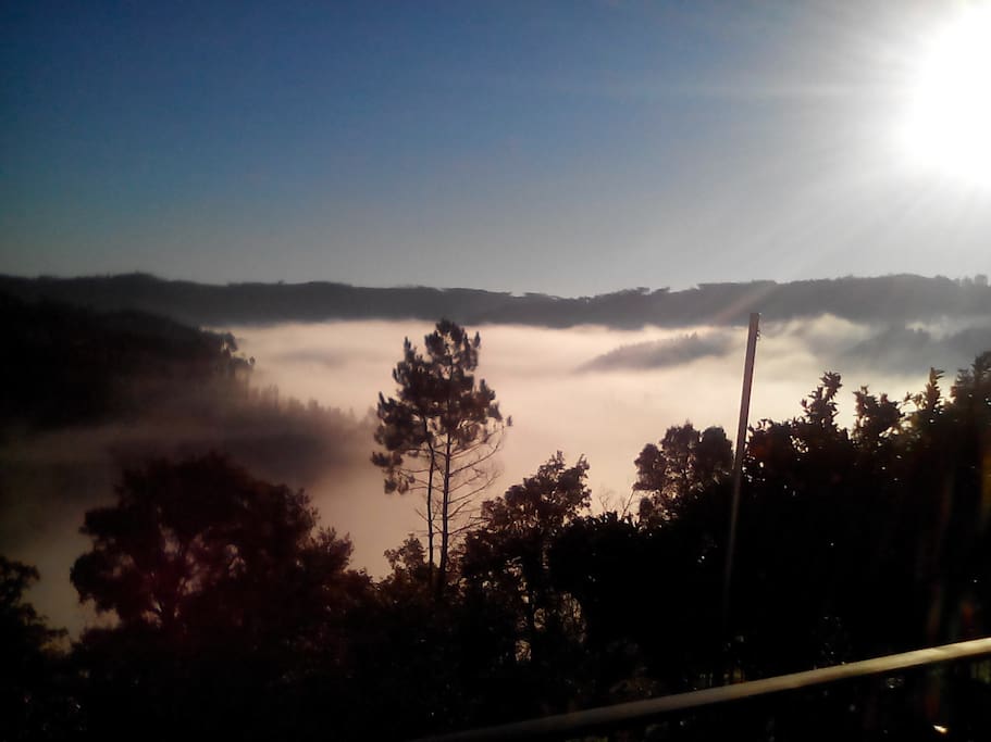 Early morning view from the pool