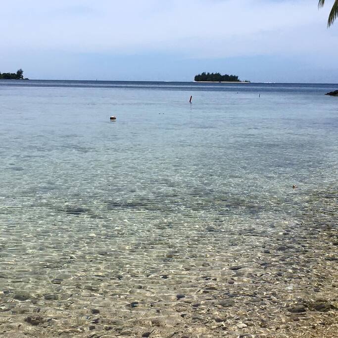 Possibilité d'accéder à la mer à moins de 100m de la maison, pour un déjeuner les pieds dans l'eau pourquoi pas ^^