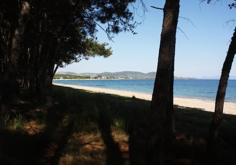 Perfect beach in the heart of Toroneos gulf   2