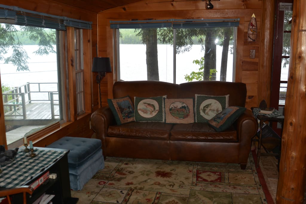 Living room with pull out couch