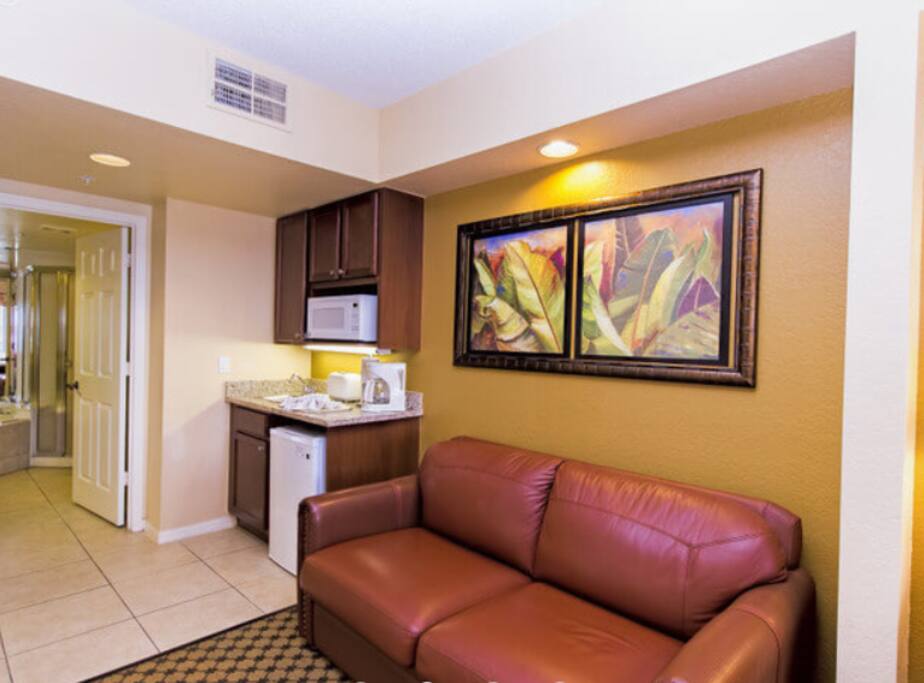 Sleeper sofa in front living space.