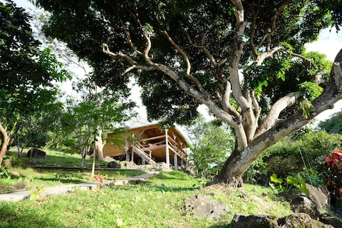 The Tree House, Crayfish Bay Organic Estate