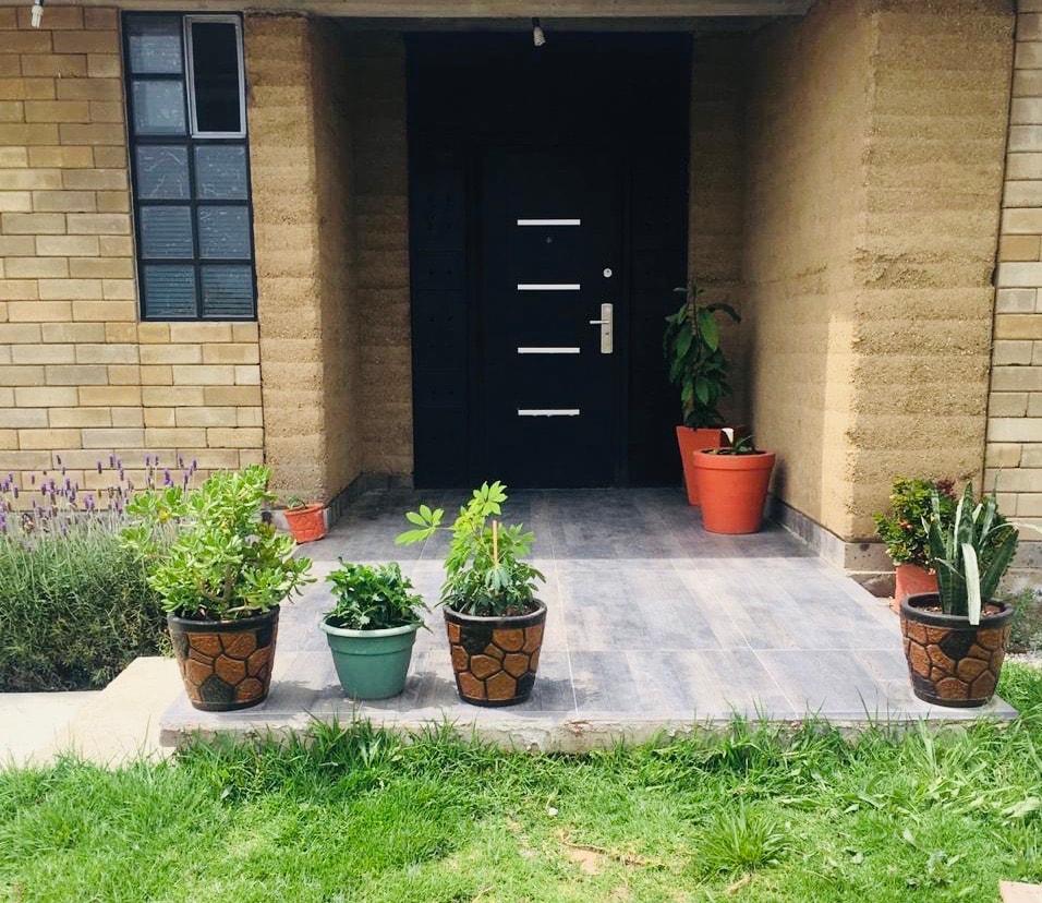 The entrance is framed by a concrete porch, featuring several potted plants that add greenery. A tall potted plant and a variety of low-maintenance plants are arranged on both sides of the entrance, leading to a modern front door with a sleek design.